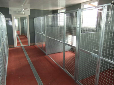 Our Cattery